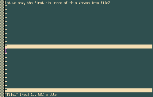 VIM, перед копіюванням текстового блоку