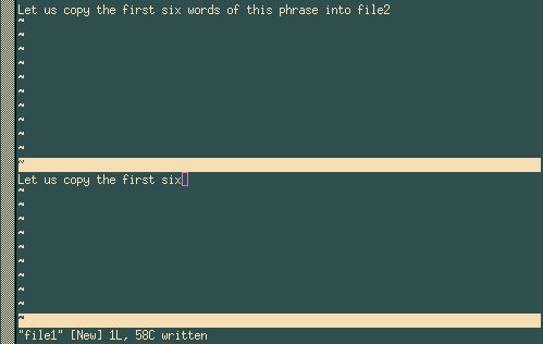 VIM, после копирования текстового блока